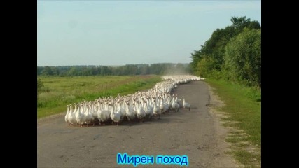 Минути смях, дълъг живот! 
