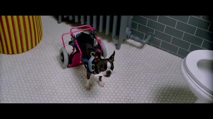 The Back - up Plan 2010 Hd Trailer 