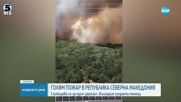 Голям пожар гори в Крива Паланка
