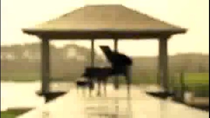 Miley Cyrus - When I Look At You