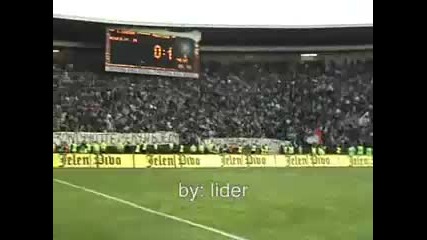 Crvena zvezda Fenovete !!! 