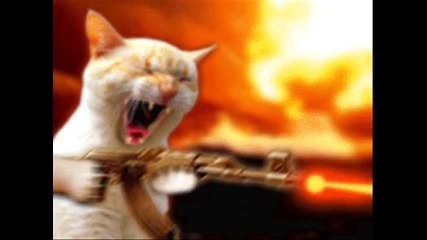 Sonata Arctica - The Gun