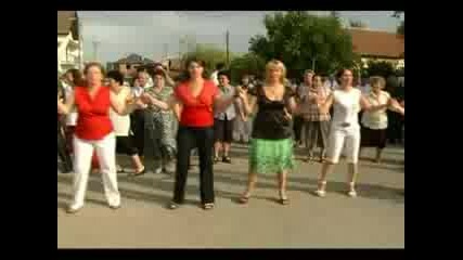 Nunta La Djanova Negotin 
