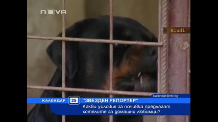 Венци Мартинов - Хотел за кучета през лятото