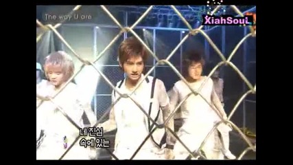 Dbsk - The Way You Are (live)