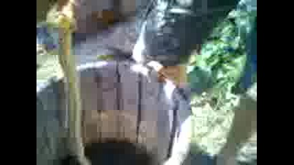 sredec fakiq