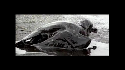 Linkin Park - What Ive Done 