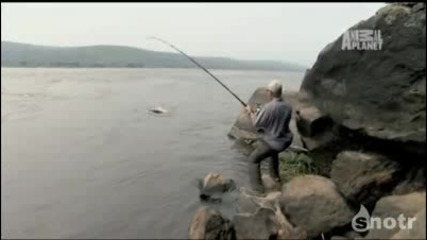 Най Голямата Риба В Света 