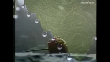 Omar Akram - Falling Through The Rain