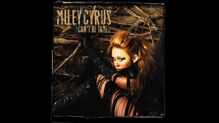 Miley C.airplanes 
