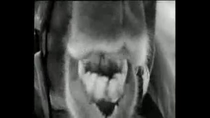 Golden Earrings - Daddy buy me girl 1966 