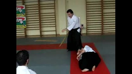 Aikido - Paolo Corallini Sensei