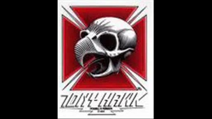 Tony Hawk