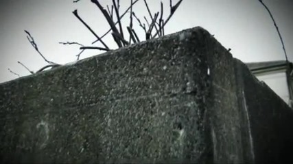 Dado Polumenta - Moja srno