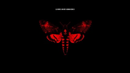 Lil Wayne - Wowzers feat. Trina ( A U D I O )