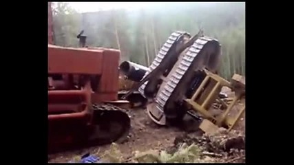 Добре , че са в гората ... иначе да са се избили ! 