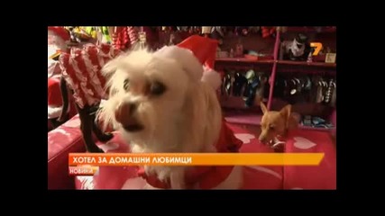 Хотел за домашни любимци