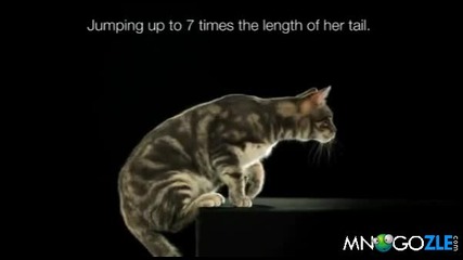 Котешката техника на скок 