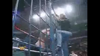 Bret Hart vs Owen Hart - Steel Cage Match For Wwf Championship *4/5* 