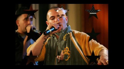 Pitbul 