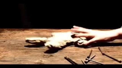 cristal snow - cristal clear