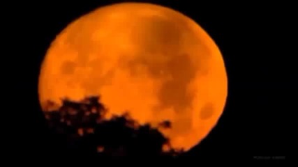 Holy Science - Moon
