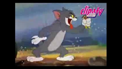 Tom And Jerry - The Cat And The Mermouse