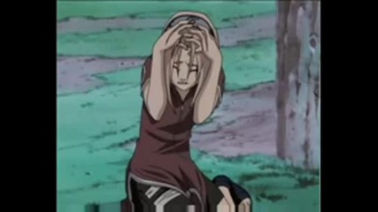 sakura