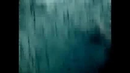 Eminem - Insane (music Video)