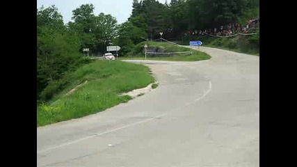 Рали Вида 2009