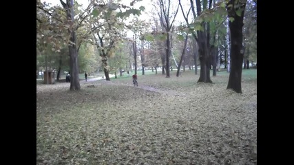 bikes sevlievo 