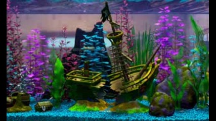  Nemo - Aquarium