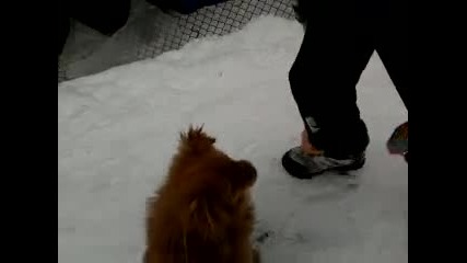Видеоклип0015