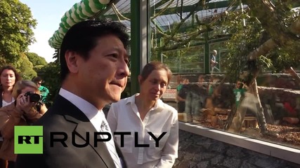 Russia: Meet the new guests of Leningrad Zoo: two Japanese macaque monkeys