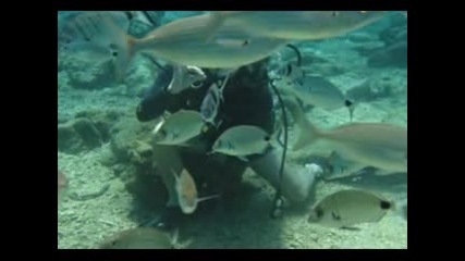 Underwater Garden James Last - Biscaya