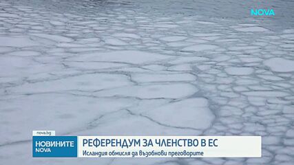 Исландия обмисля референдум за присъединяване към ЕС