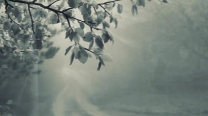 Lake Of Tears - Solitude