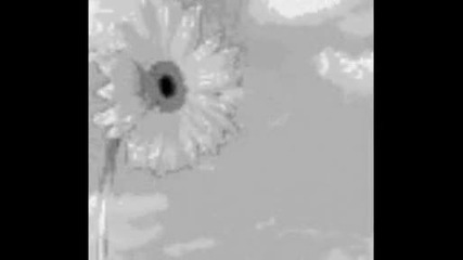 Windows Movie Maker - Coloring Type #3