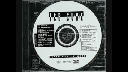 Ice Cube - How to survive in South Central 