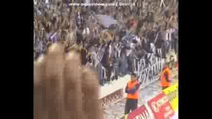Paok Crazy Fans