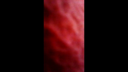 Vid_20150222_124005