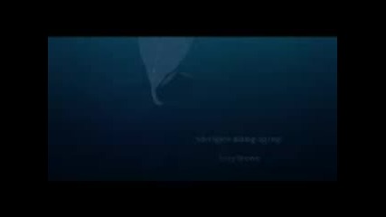 Help i - m a fish - Bg Audio