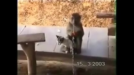 Завинаги заедно !!! 