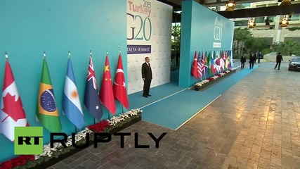 Turkey: Erdogan greets UK's Cameron as G20 summit kicks off