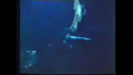Rainbow A Light In The Black Live Usa 1976