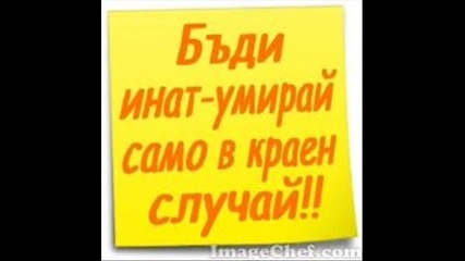 Kreazyybabyy Aydjan 2011