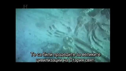 Цунами Bg subs 