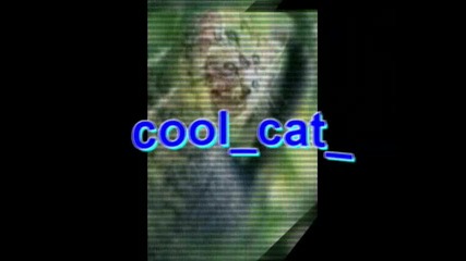 *cats for Konkursa na cool cat - 1 - vo mqstoo party]