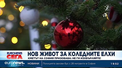 Кметът на София призовава: Не изхвърляйте коледните елхи