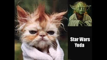 Star Wars Fun